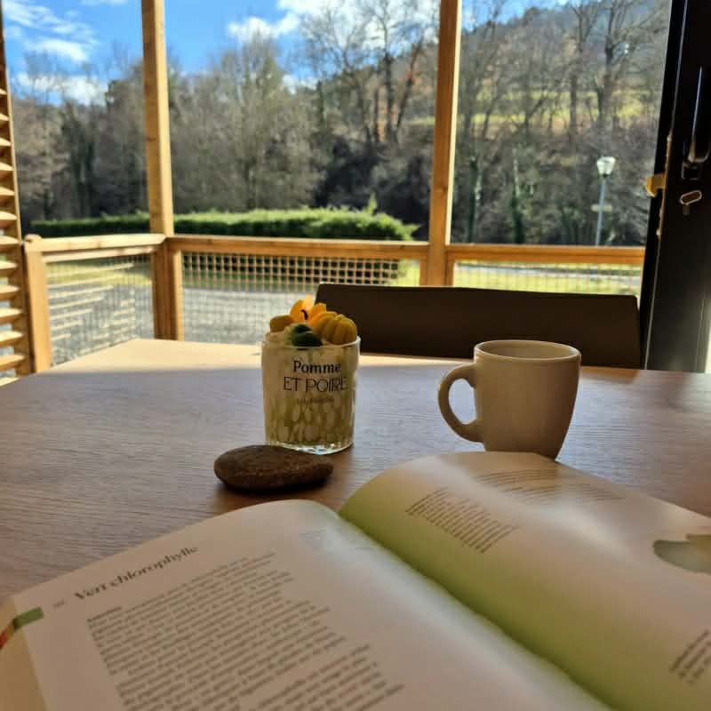 Découvrez les chalets du Camping de la Sianne à Auriac-l'Église. Confort moderne, terrasse privée 12m² au bord de la rivière, animaux acceptés. Idéal randonnée, pêche et volcans d'Auvergne. Réservez votre escapade nature au Cantal !