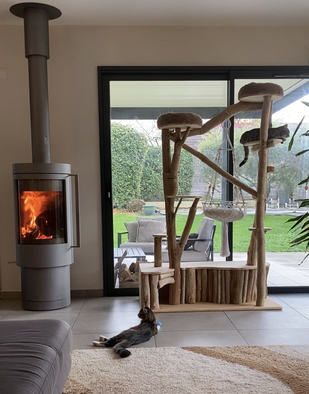 Photo arbre ch adore dans salon