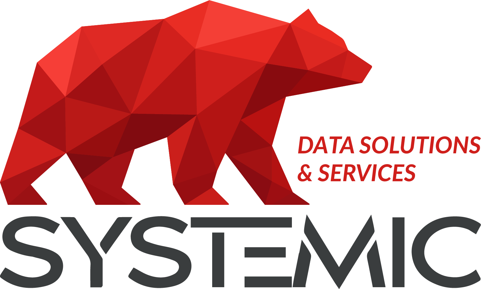 Logo-png-systemic