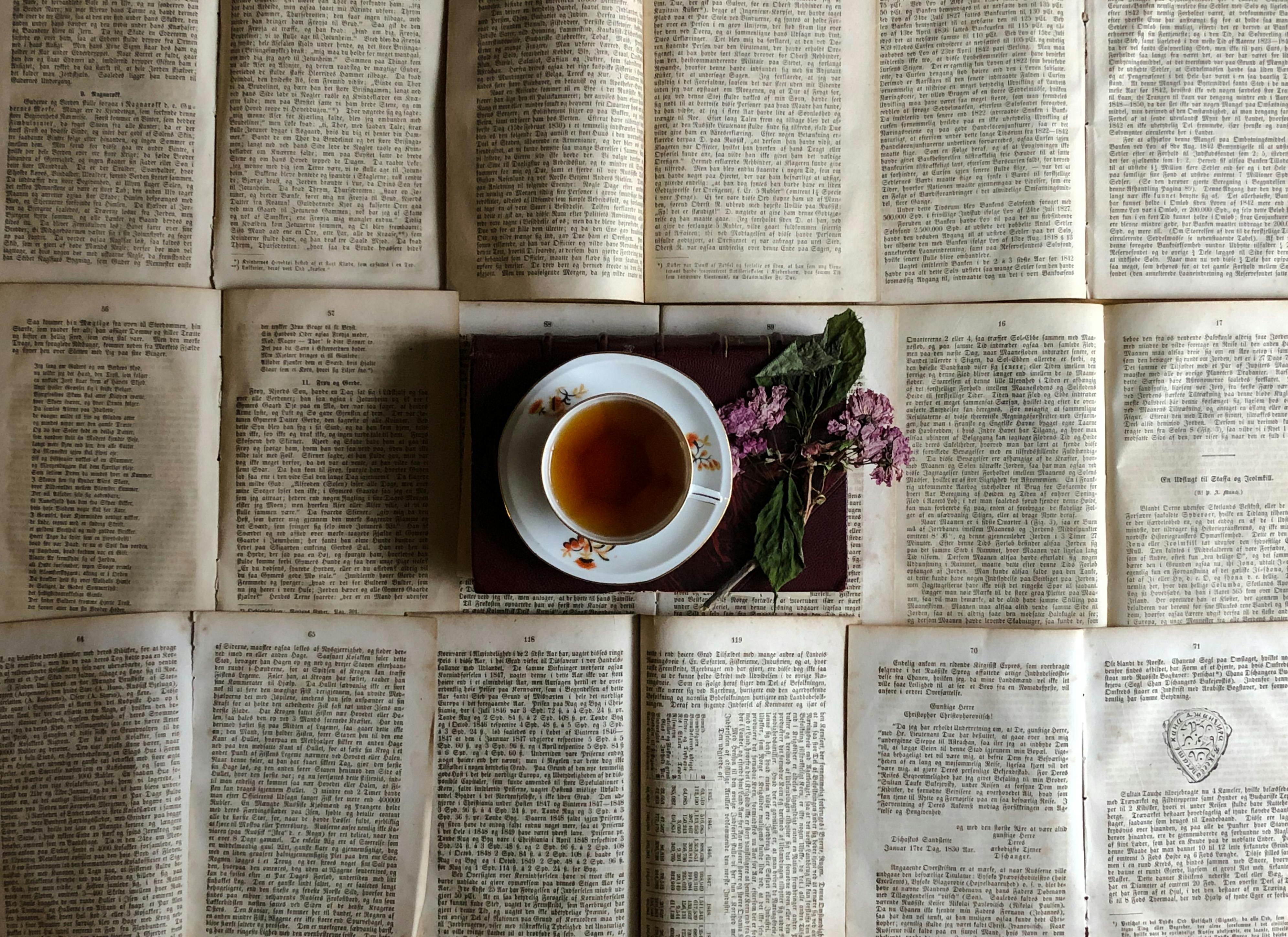 Nur Yilmaz Pexels