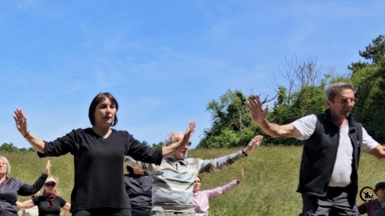 Stage Nature Qi Gong & Tai Chi en Isère à Saint Victor de Cessieu - Balade et pratique
