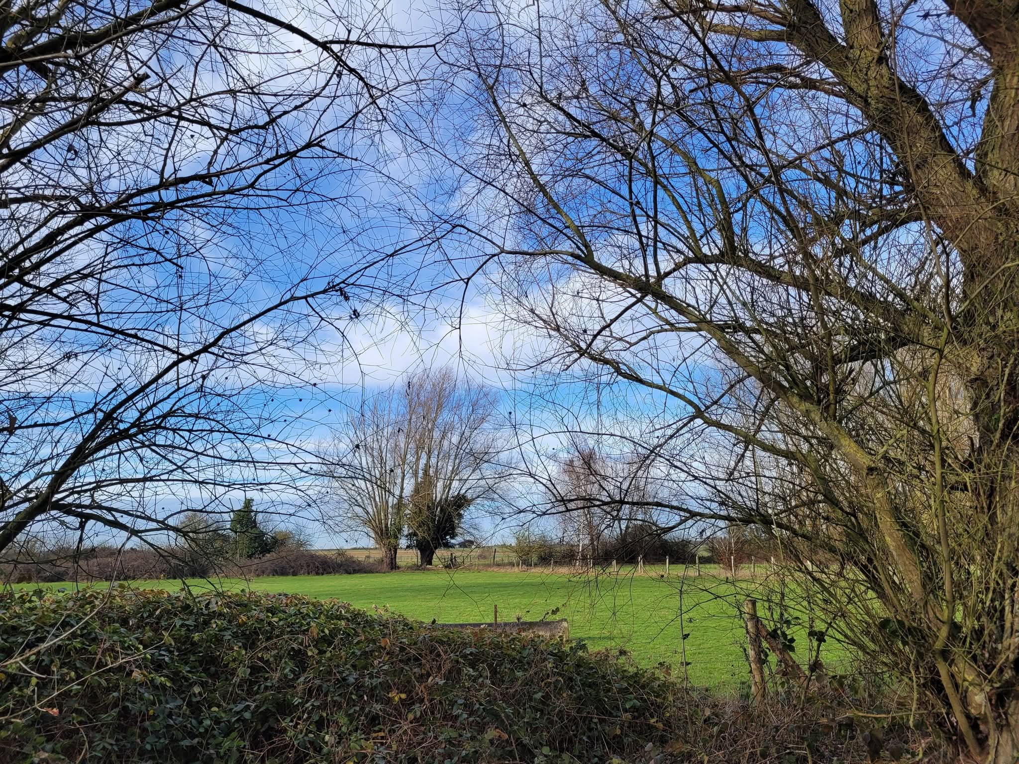 Facebook 1771519488197 7430291275423064223