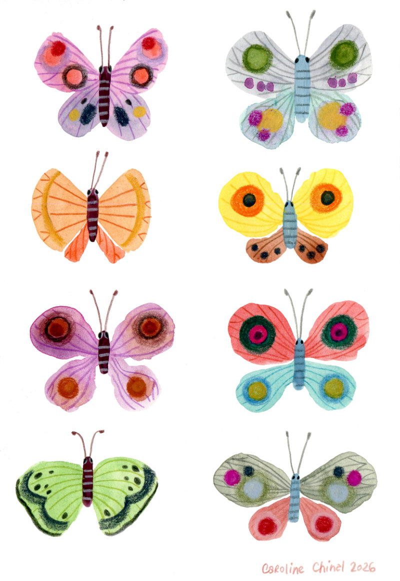 Papillons couleurs