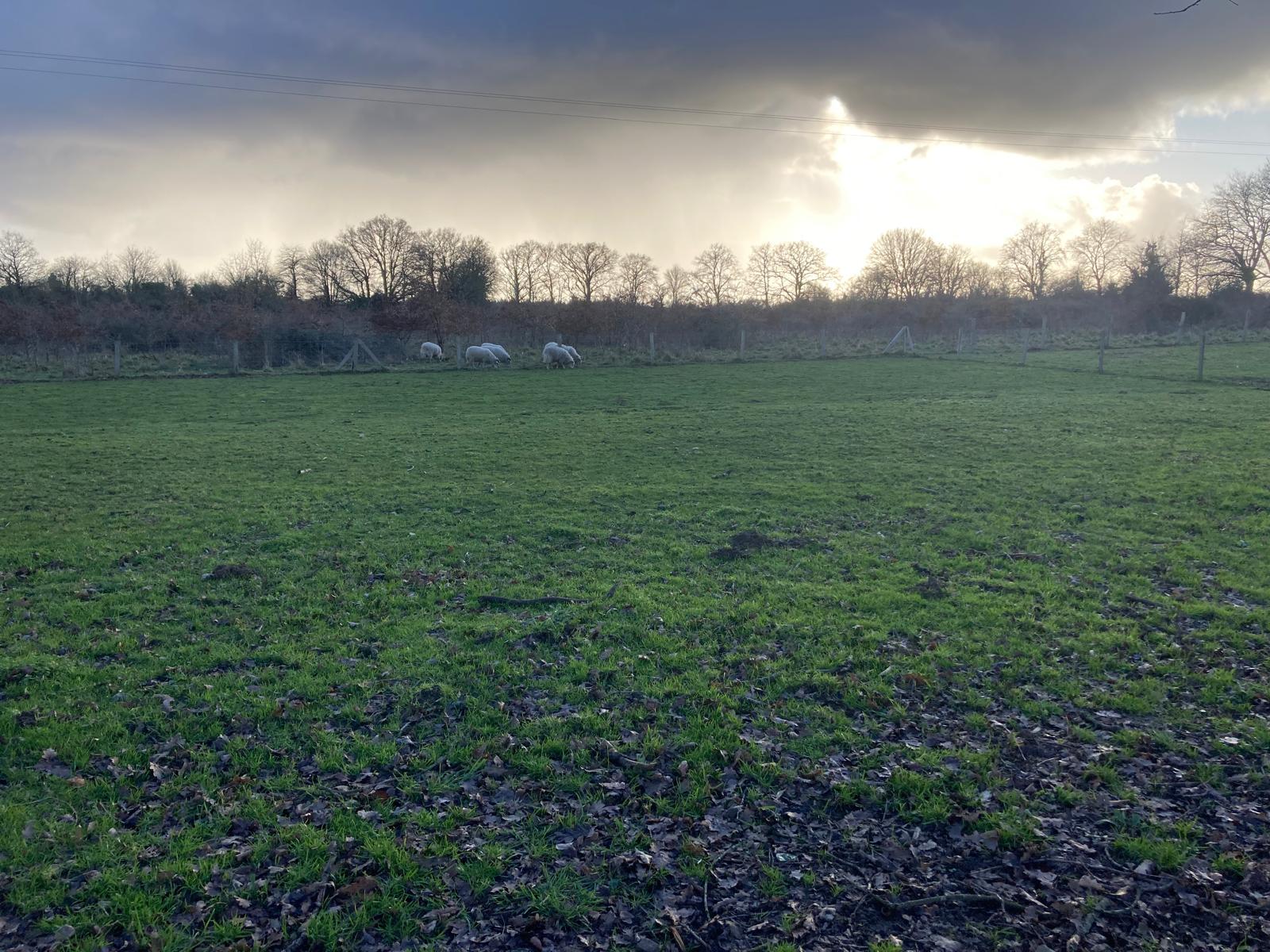 Whatsapp image 2026 02 20 at 19 11 26 4