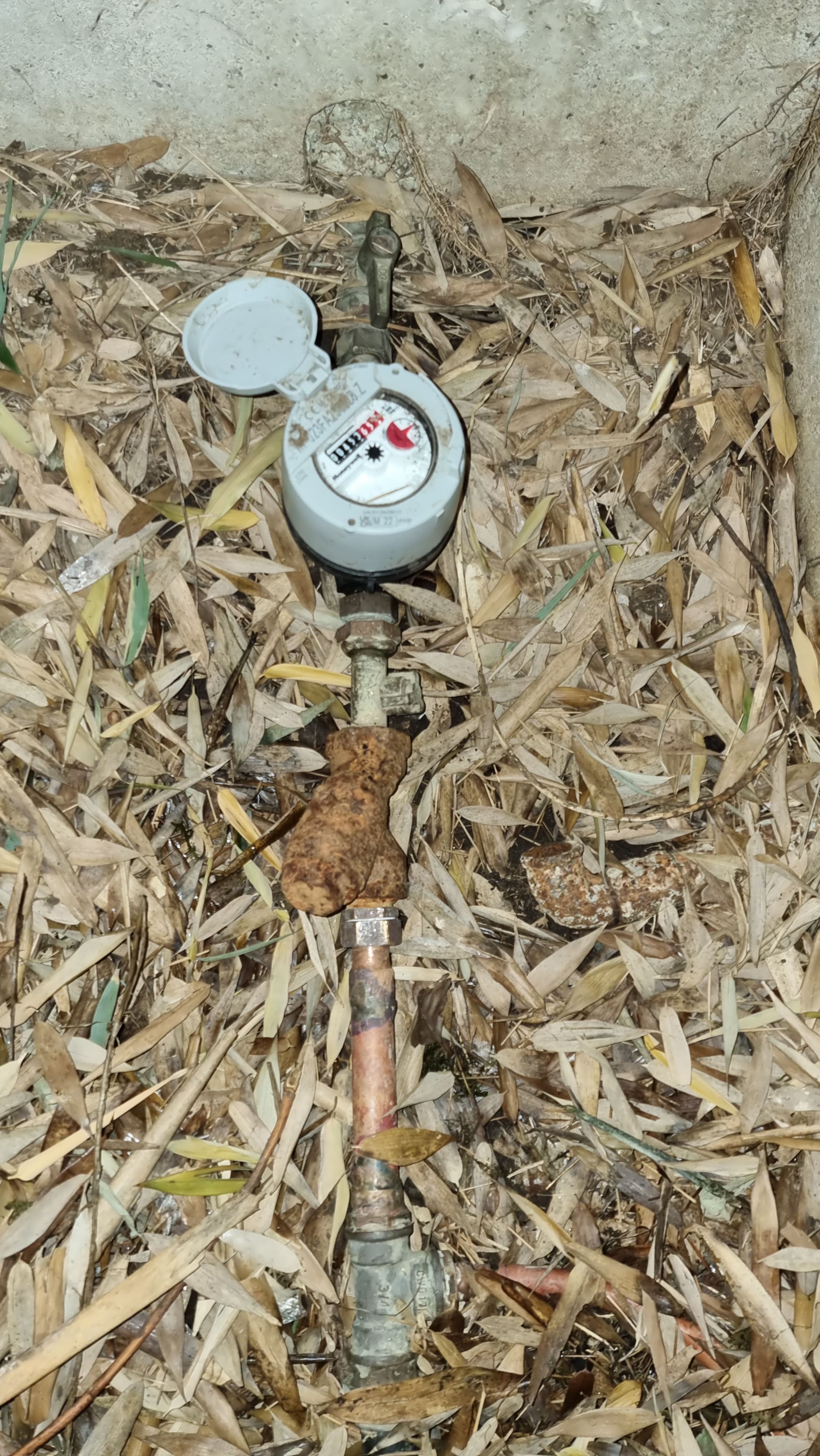 Arrivée d'eau générale située à l'exterieur de la maison. Filtre tamis après compteur rouillé.
Remplacement du filtre tamis et ajustement du tuyau en cuivre.
FJP Plomberie
FJP Plomberie Evrecy
Evrecy, Verson, fontaine étoupefour, Gavrus, Esquay notre dame, Villers bocage, Mondeville, Carpiquet, Cheux, Mouen, Breteville sur odon, Breteville sur laize, Breteville l'orgueilleuse, Fontenay le pesnel, Tilly sur seulle, Sainte honorine du fay, Baron sur odon, Tourville sur odon, Caen, Venoix, Plombier Audrieu.