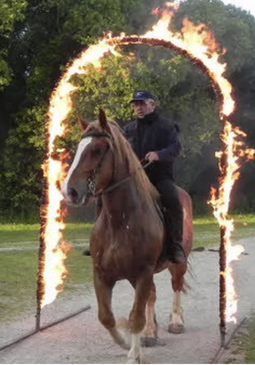 Capture-d-e-cran-2026-02-21-a-14-28-15