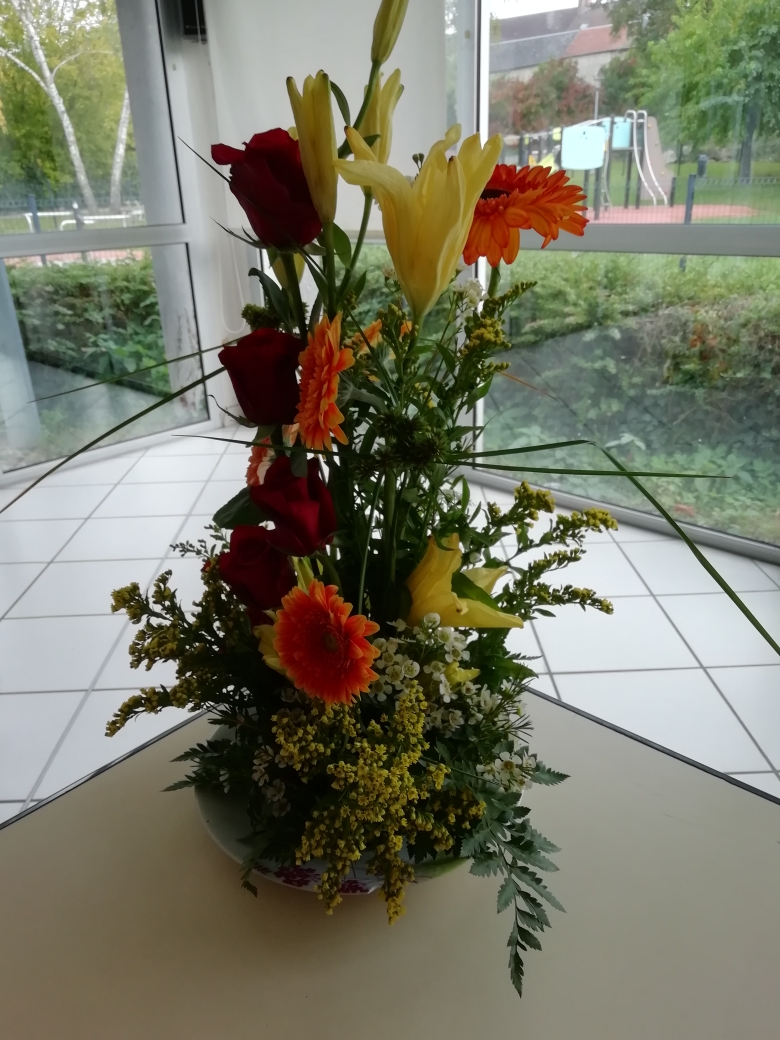 IMG 20251008 165716