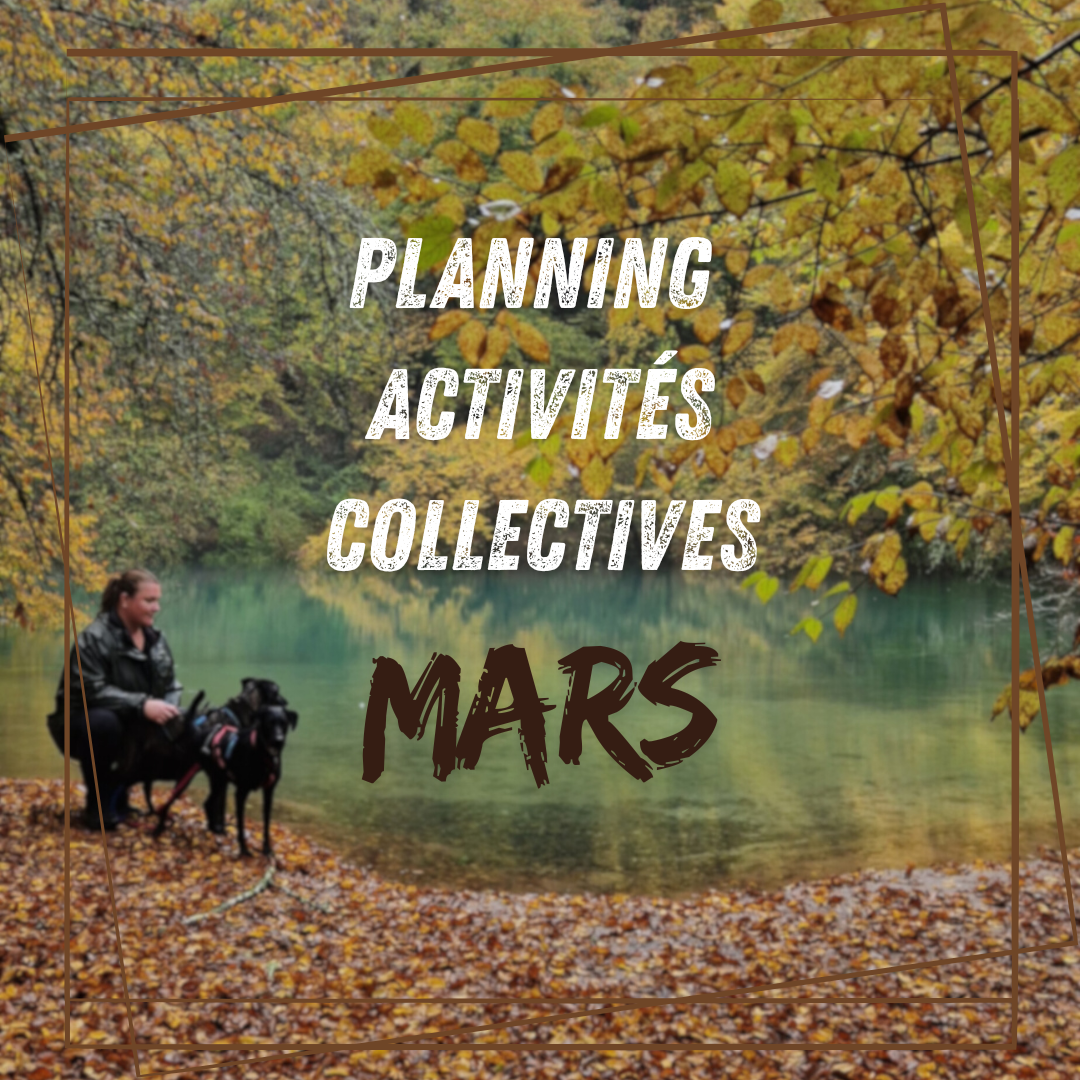 Planning de Mars 
