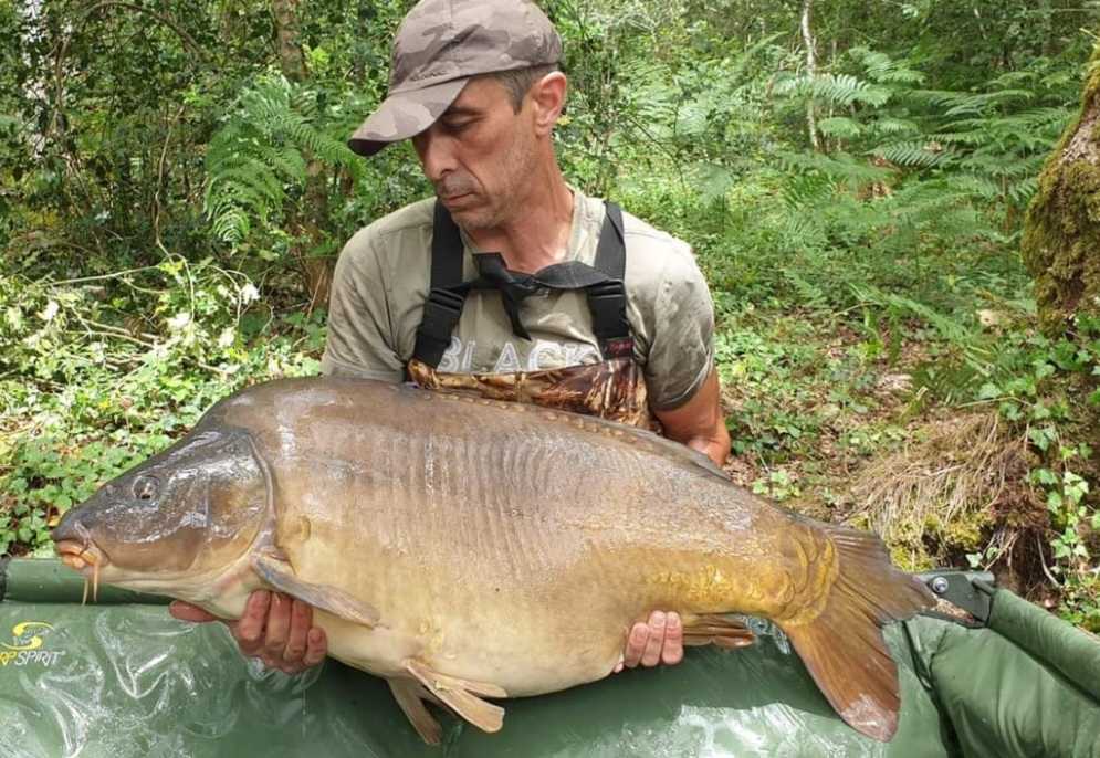 Cec3f64c 7dca 41a7 9fa5 e8bcbe7d56fd