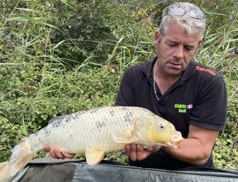 C4d2320c d81f 4de3 8a48 104baa9c4a2e