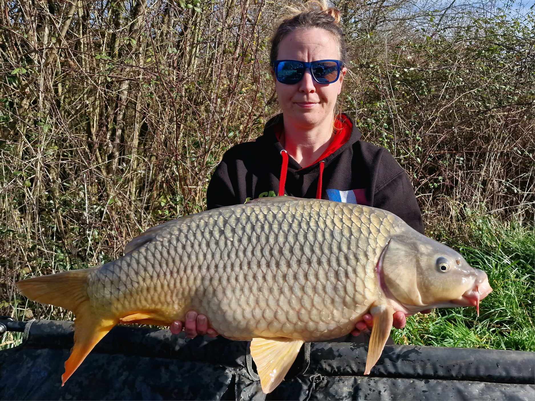 3151baa6 f8cf 48b1 b43f d1cf1cf826eb