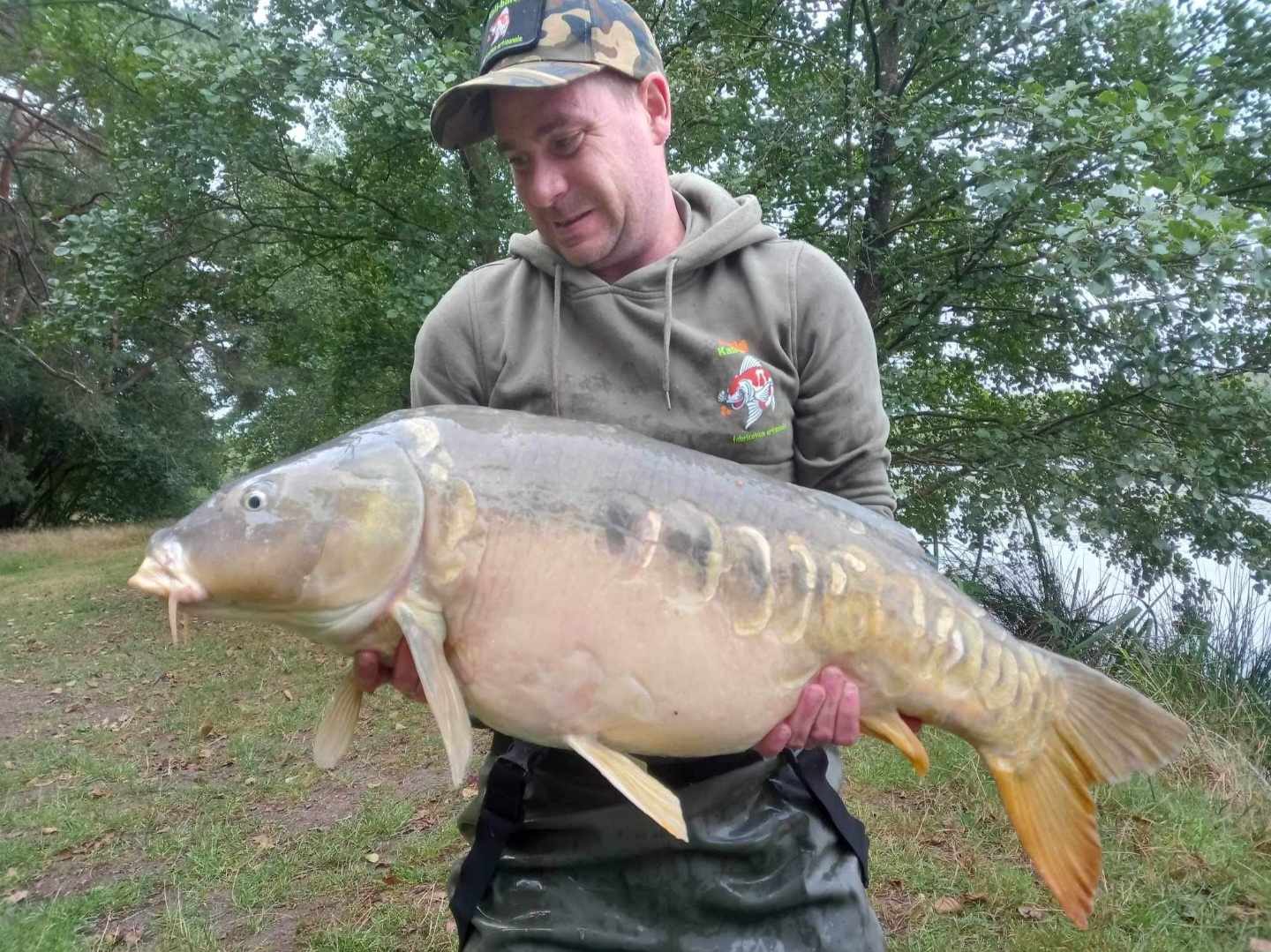 F812afb0 2963 45b5 954e bc603f641388