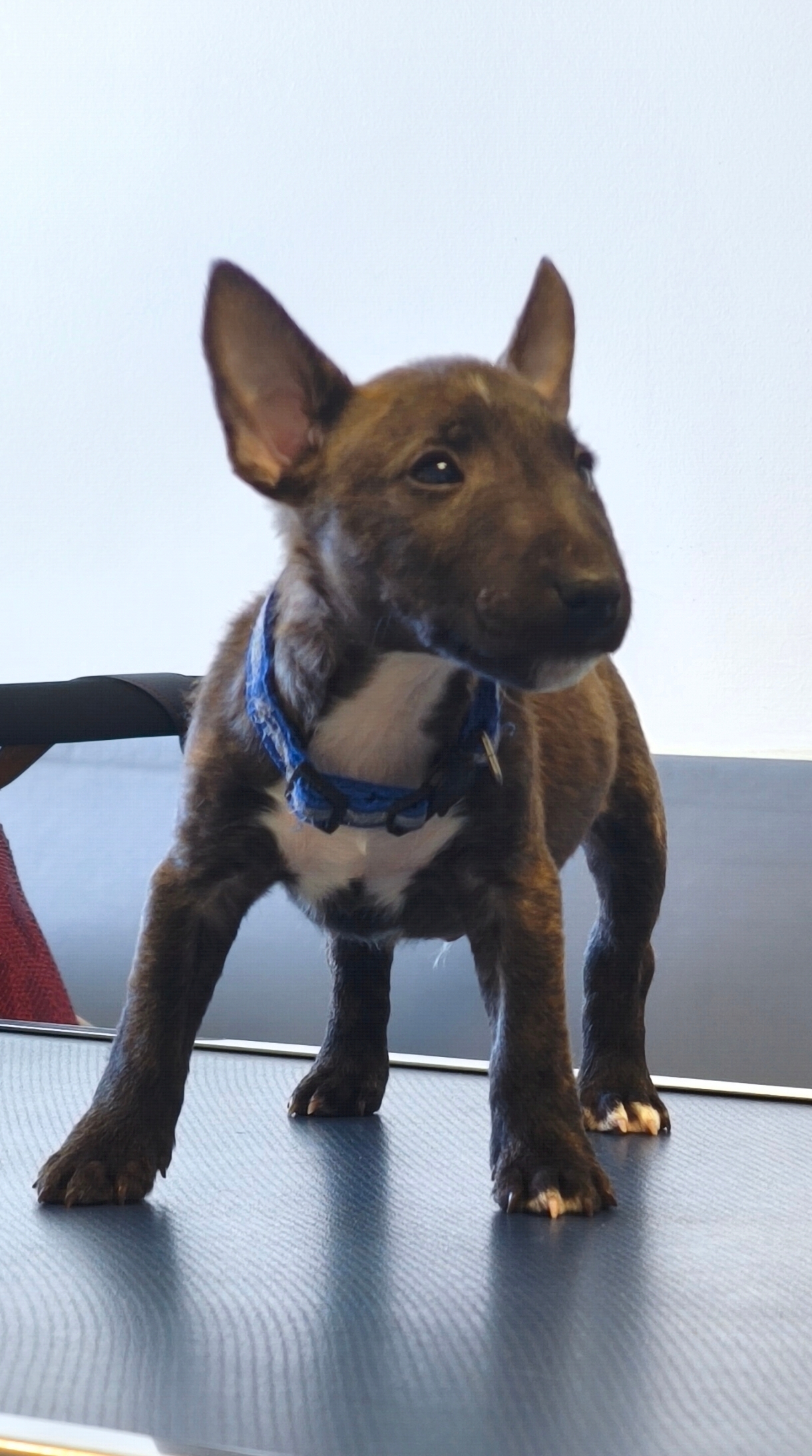 Screenshot 2026-02-23-15-36-47-230 com-miui-gallery-edit