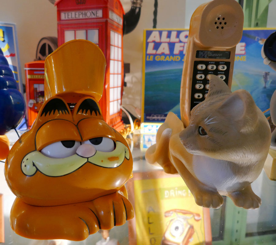 Le Musée du Téléphone adopte un chat !