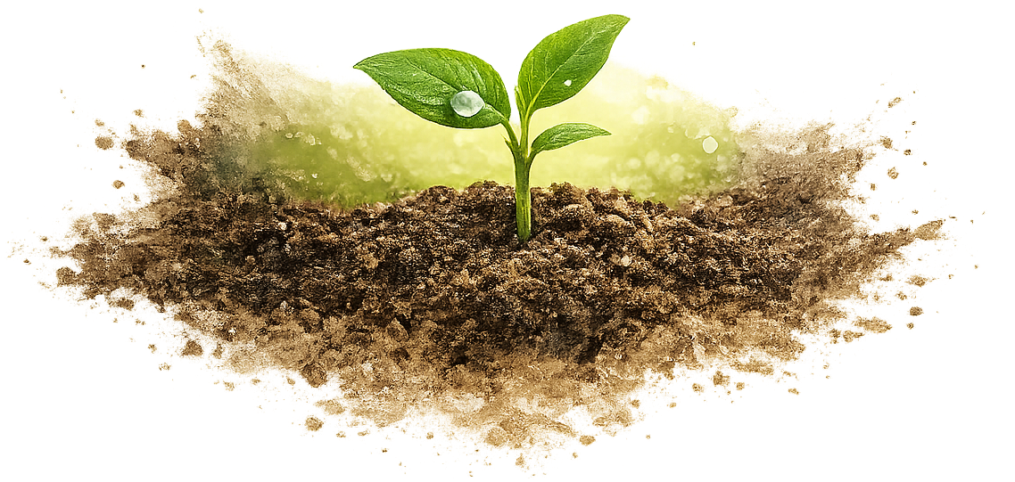 ChatGPT-Image-25-fevr-2026-09 30 56