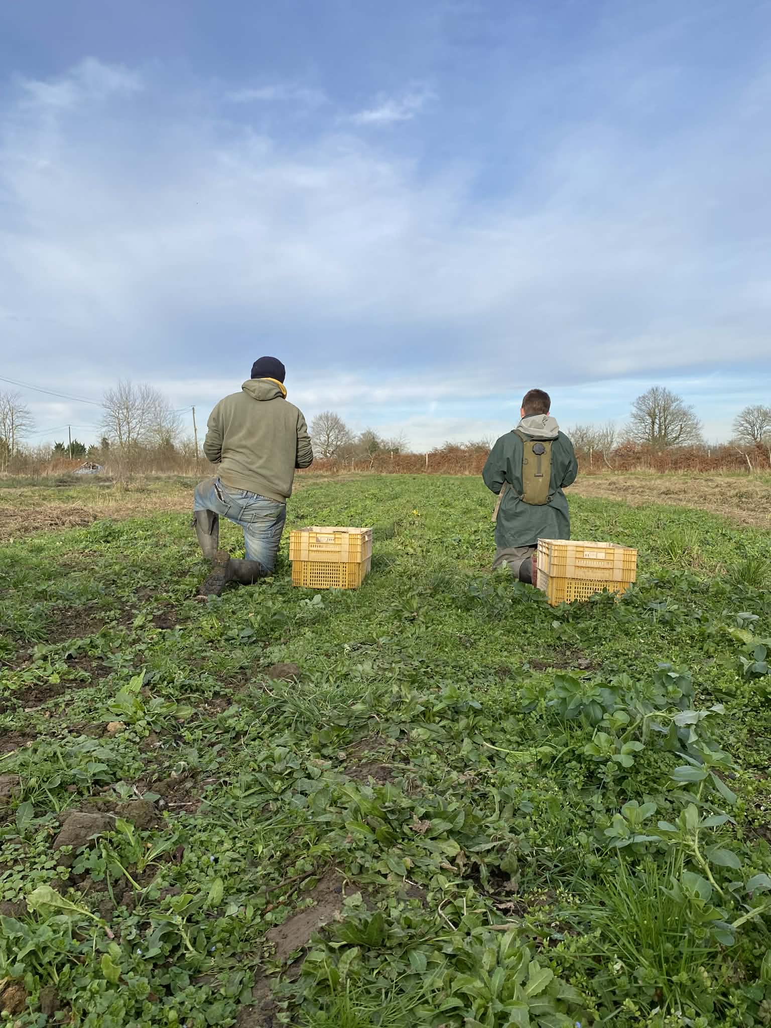 Ee373968 36fa 447e 8382 a7603fd40aa0