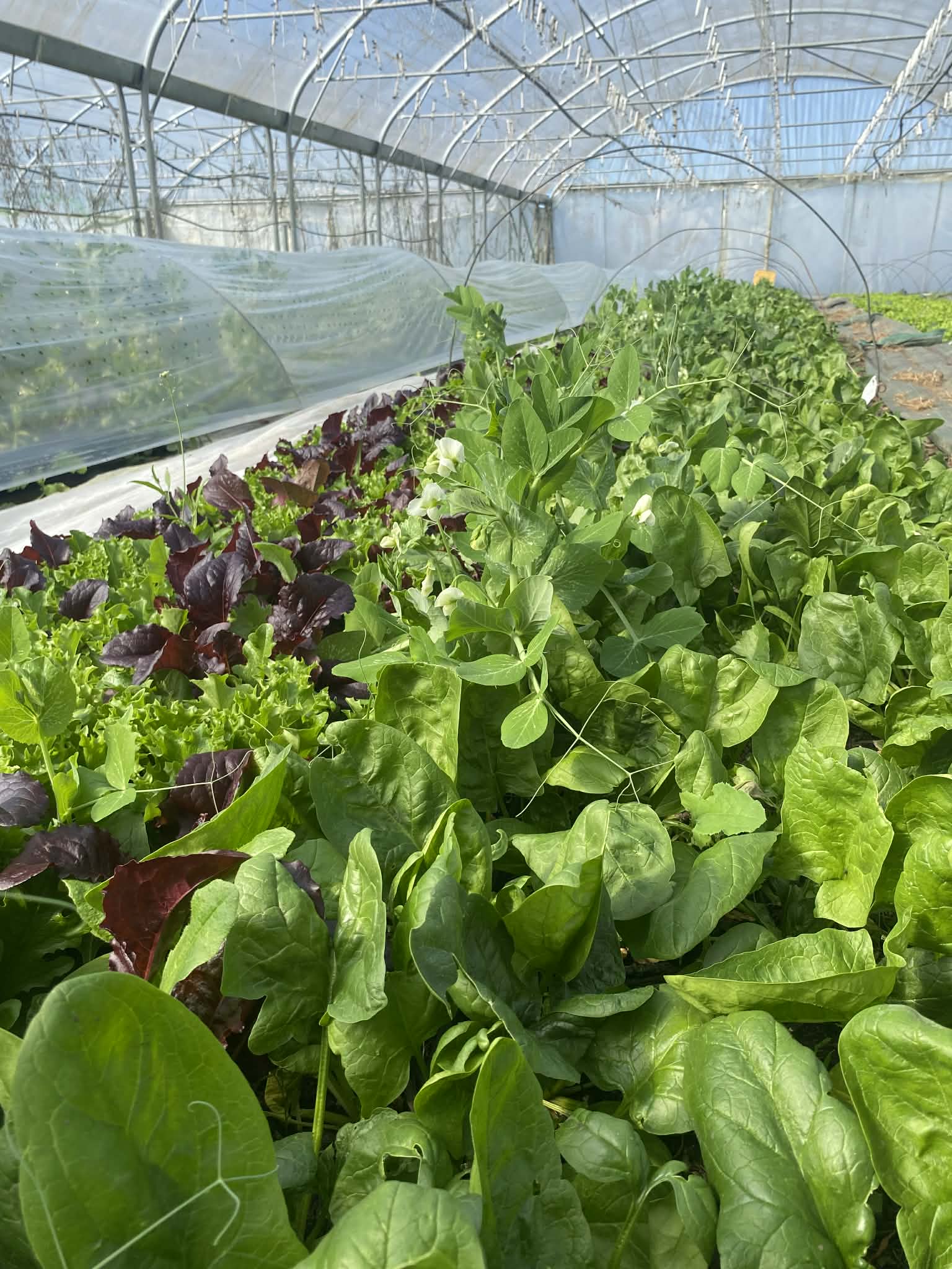 7ad12423-65a6-4b0d-bfd1-aa2083428c65