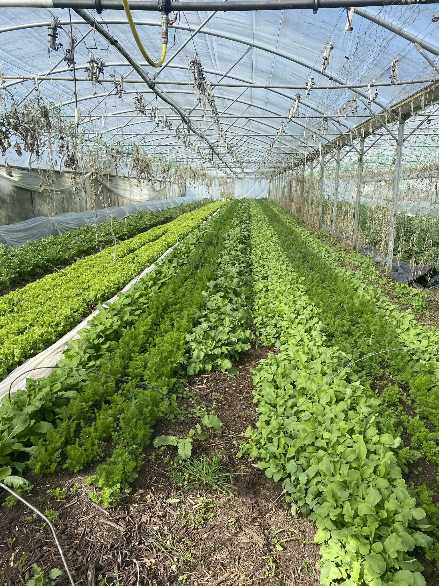 B21b1156 1621 4159 bd45 313ab5af0c10