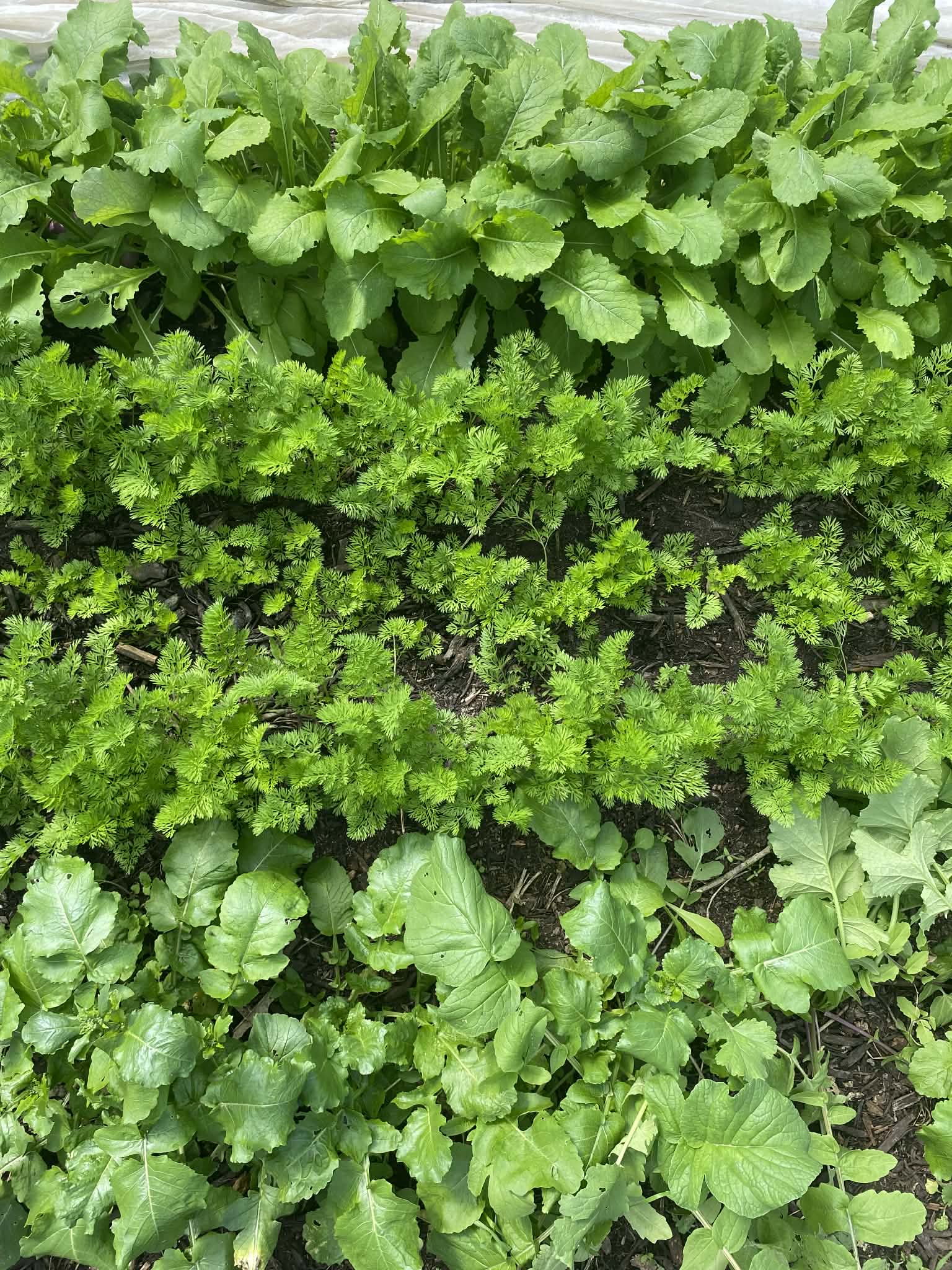 C7db4f5e 27c9 4370 8fcb df255d5c1c44