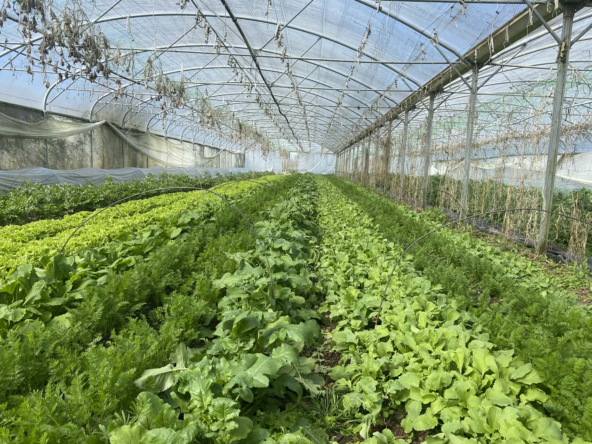 3de1d6bc 8ba9 42ba 88e5 9ec2611ed103