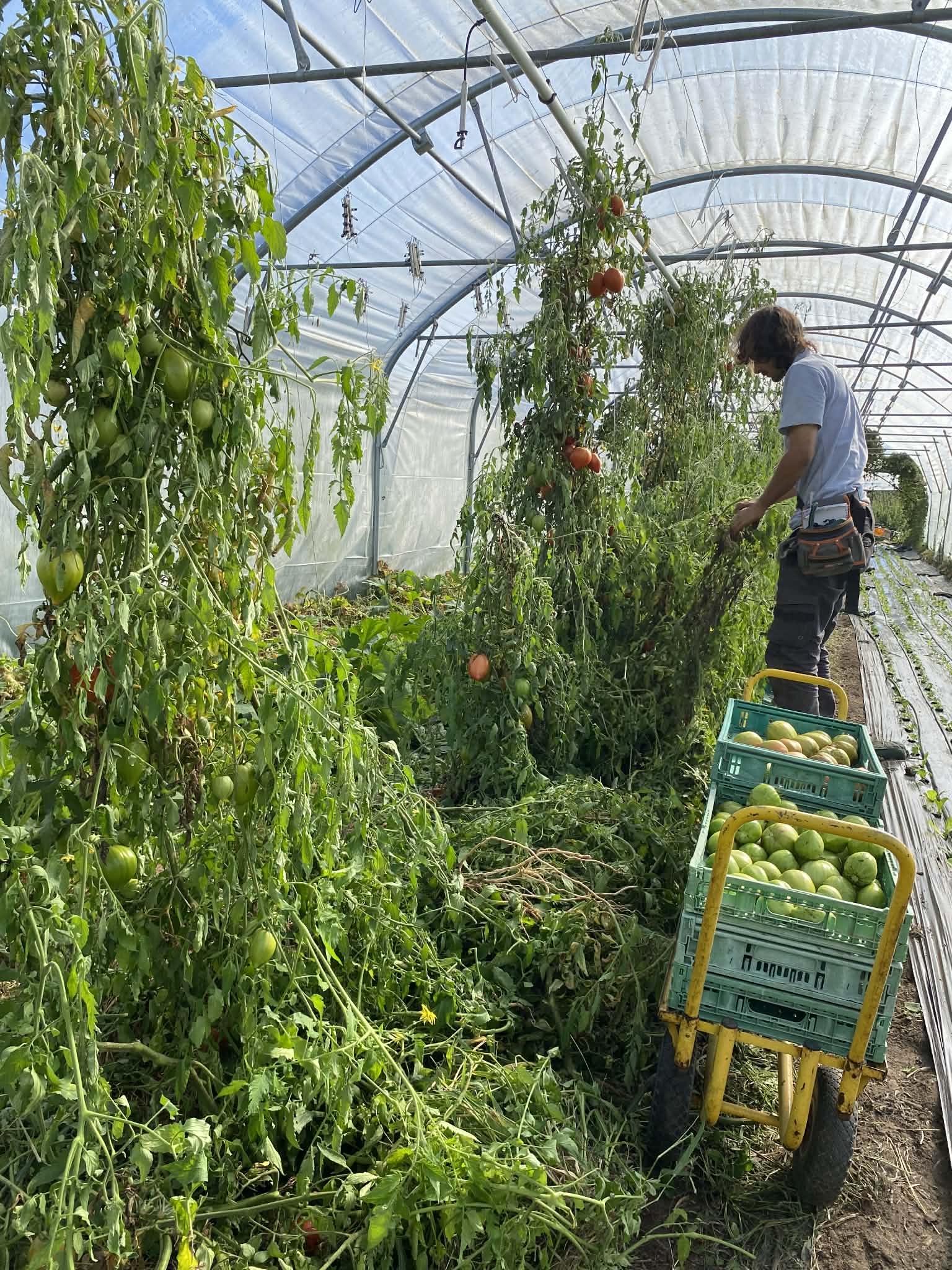 C5523eb5-732c-420e-bf43-5d1d5fee7834