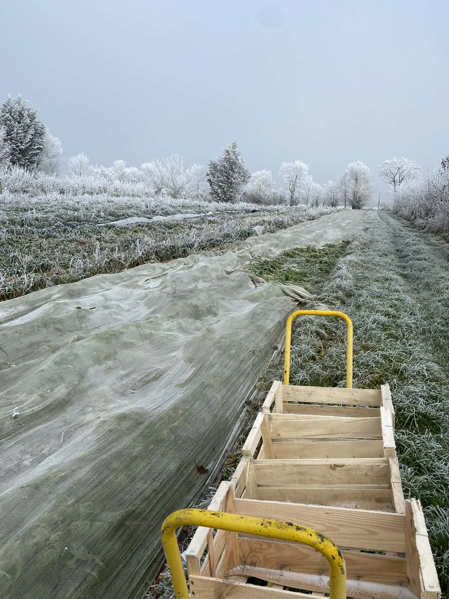 808c7042 20ed 4b74 bbe5 1ed661b50a88