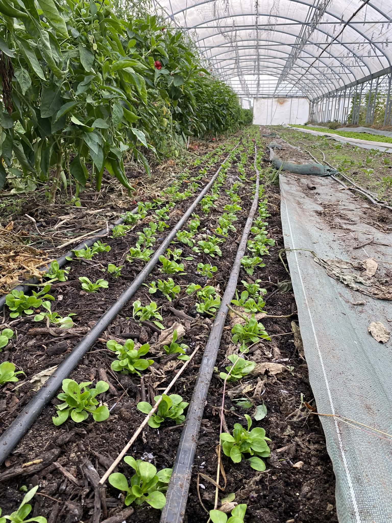 6c1e9d53 c869 4202 878b 7ffd9c607587