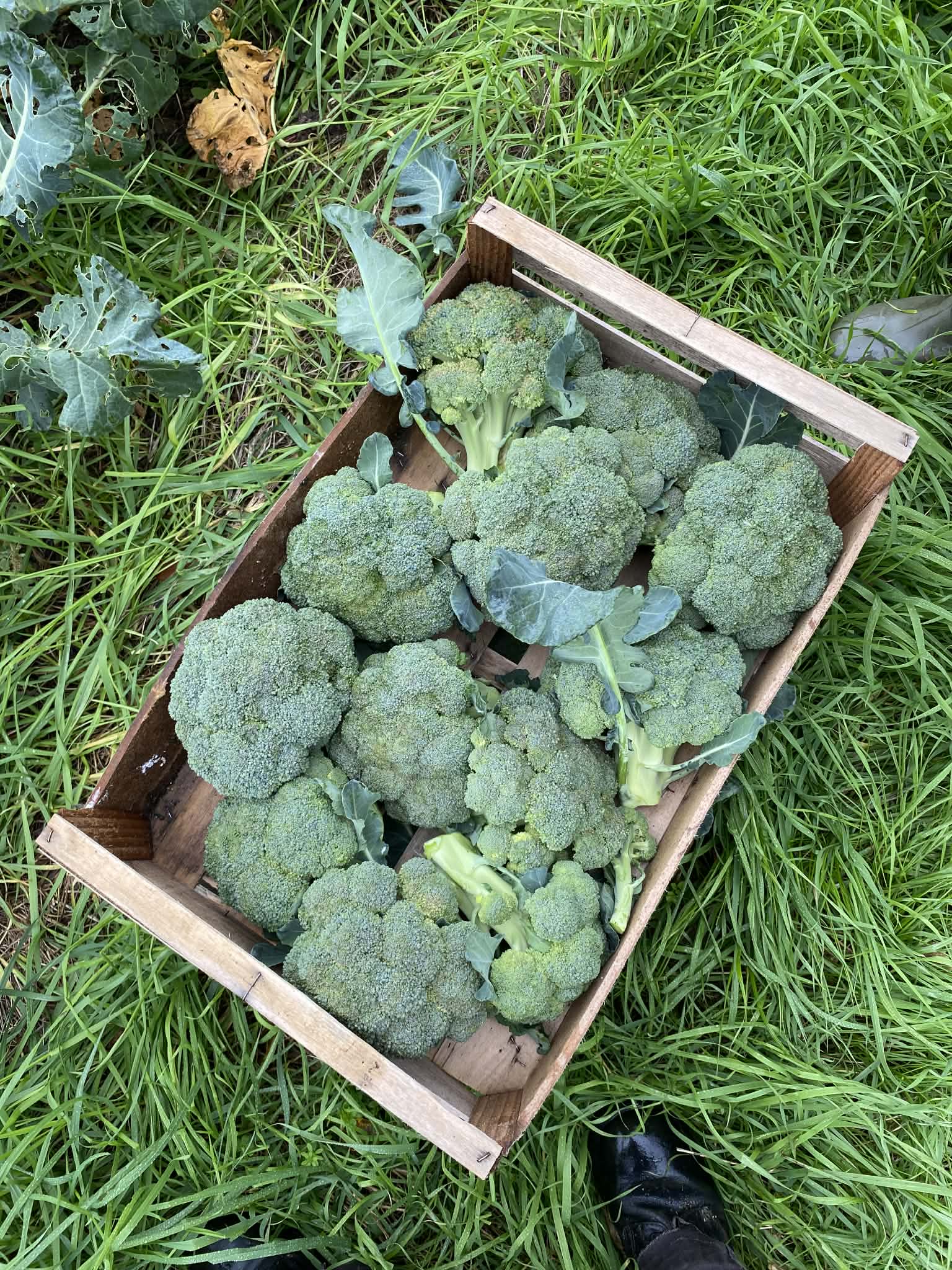 Db3a8326 ce6d 45e9 923c 79e305734dfa 1 