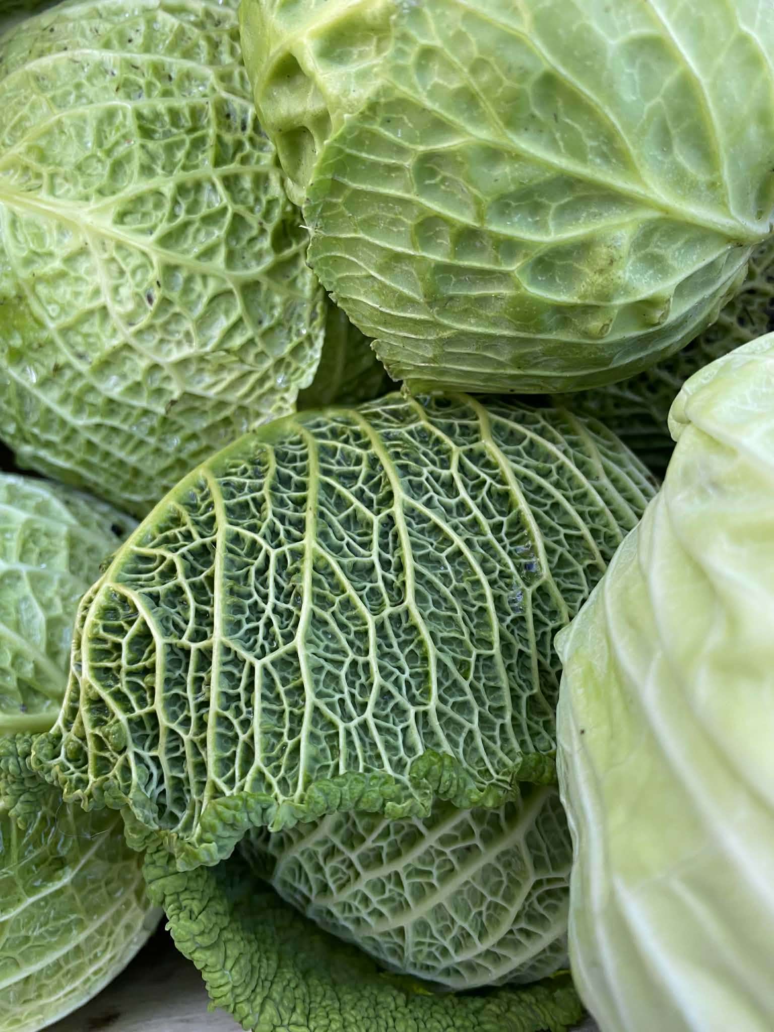 B5d75a69-8a91-4b79-bc04-43e068438d92