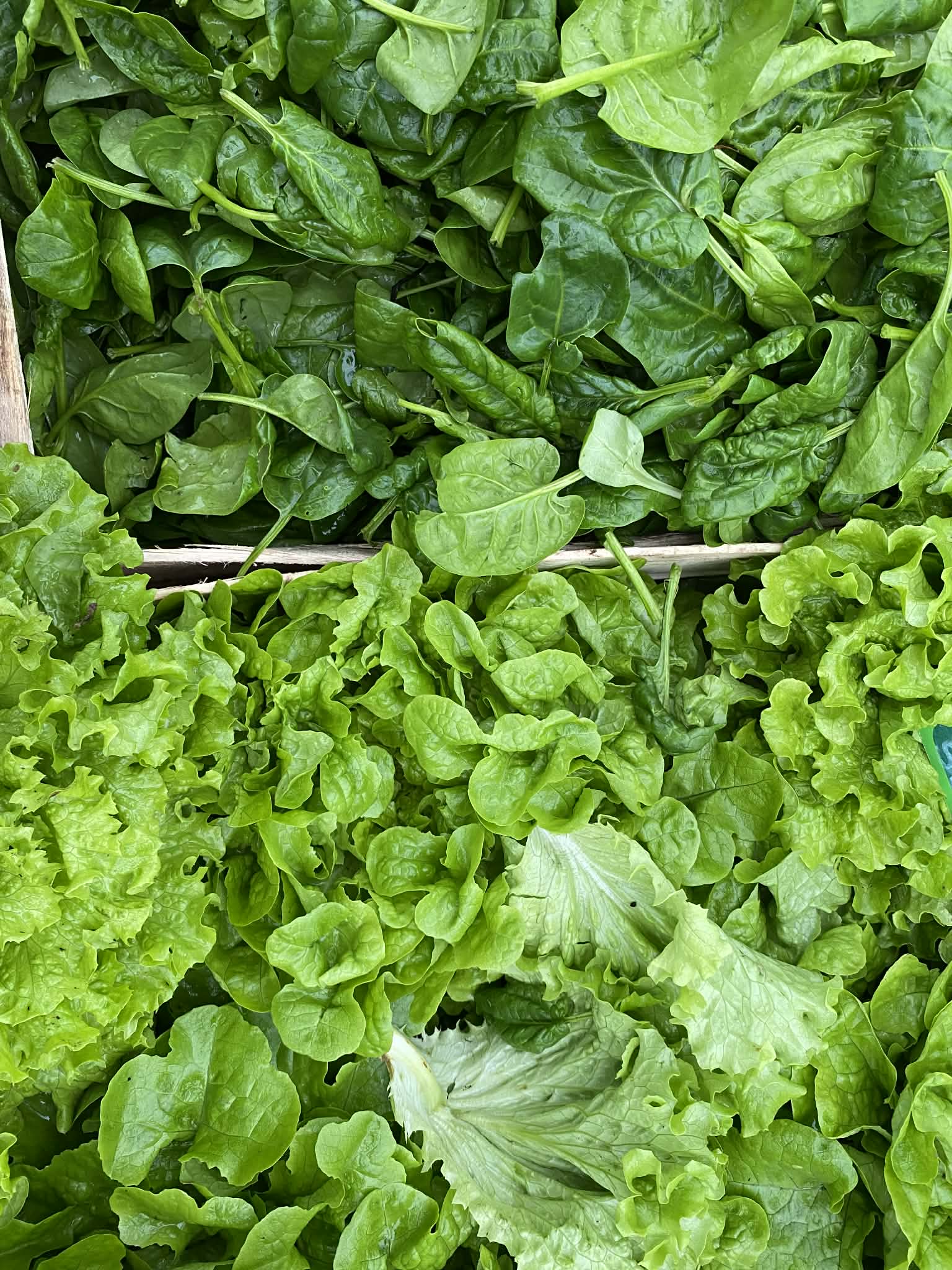 07181b9e ccf3 4d8f 810e 46232f0e69bb