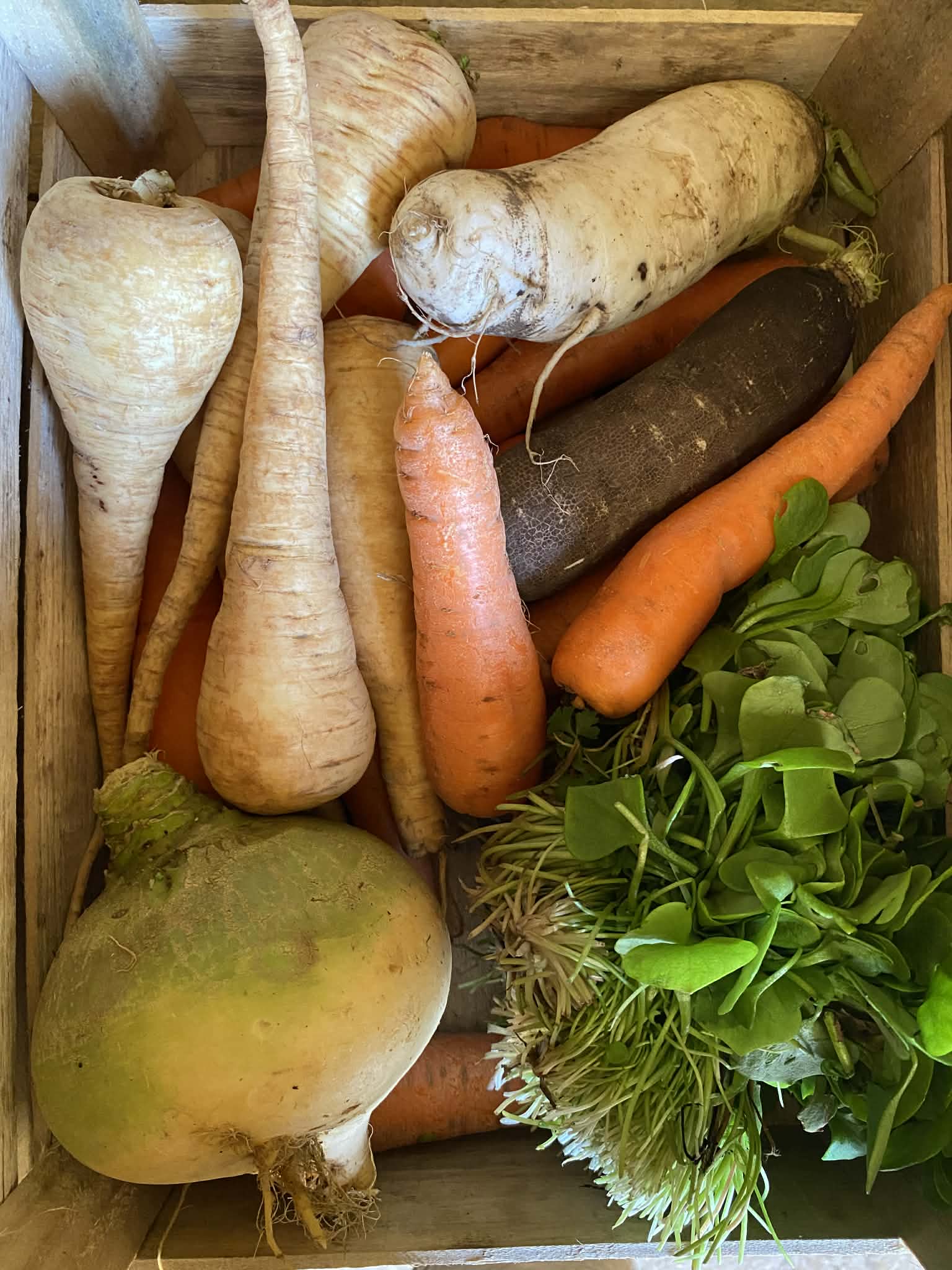 D633ba07-9515-435b-9eb2-1f0deaca84de