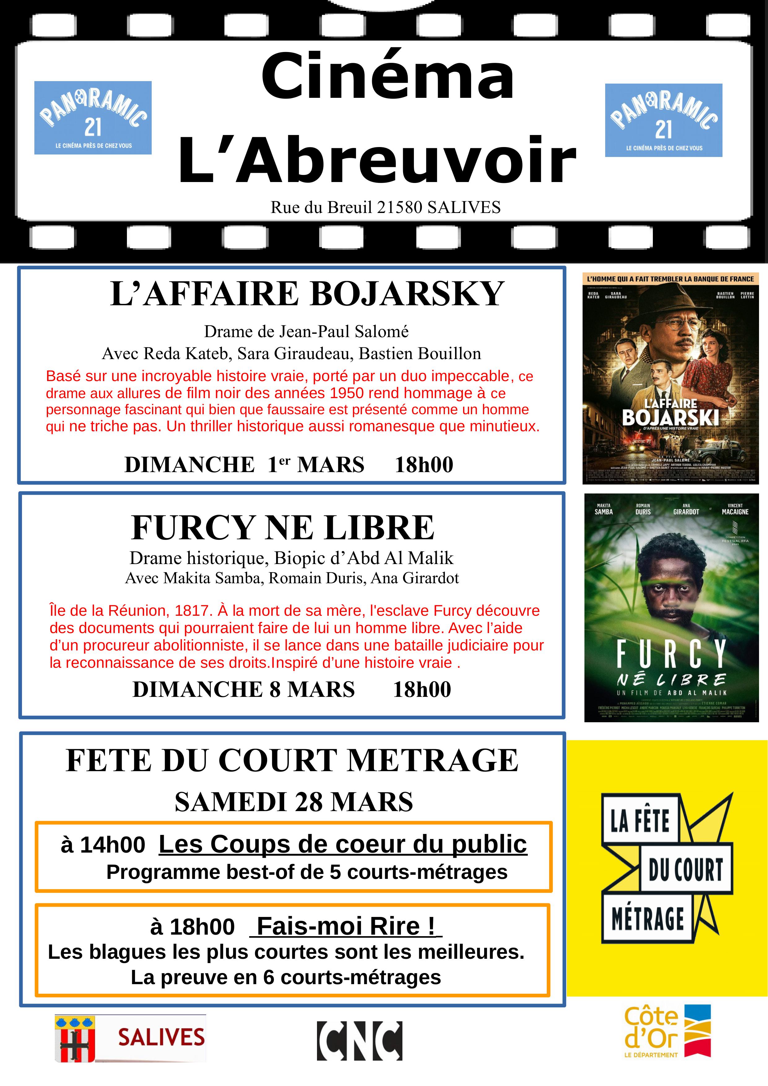 Affiche-cinema-ABREUVOIR-mars-2026