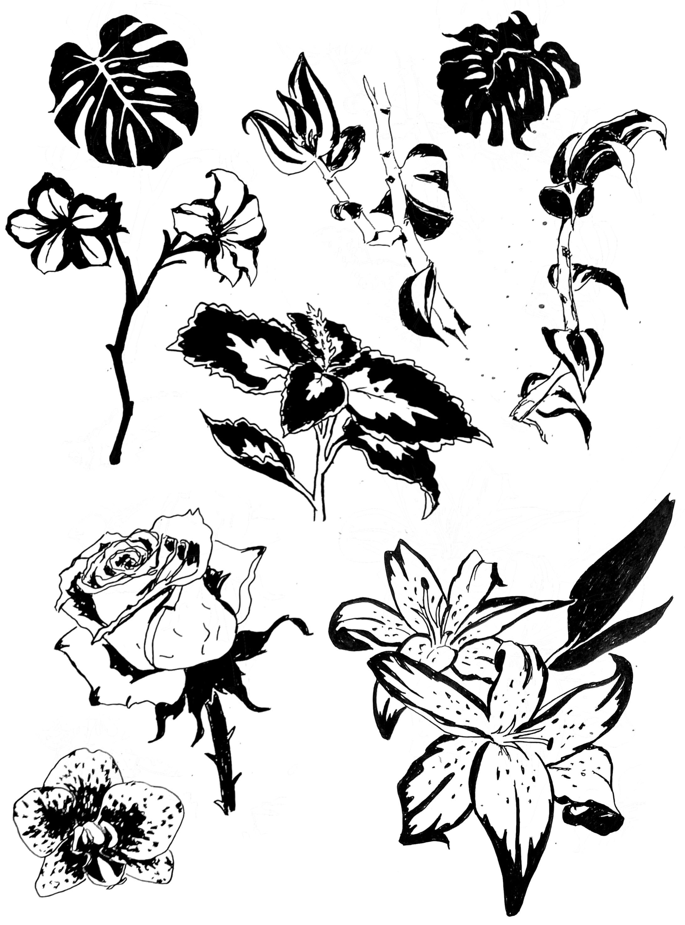 Flowers