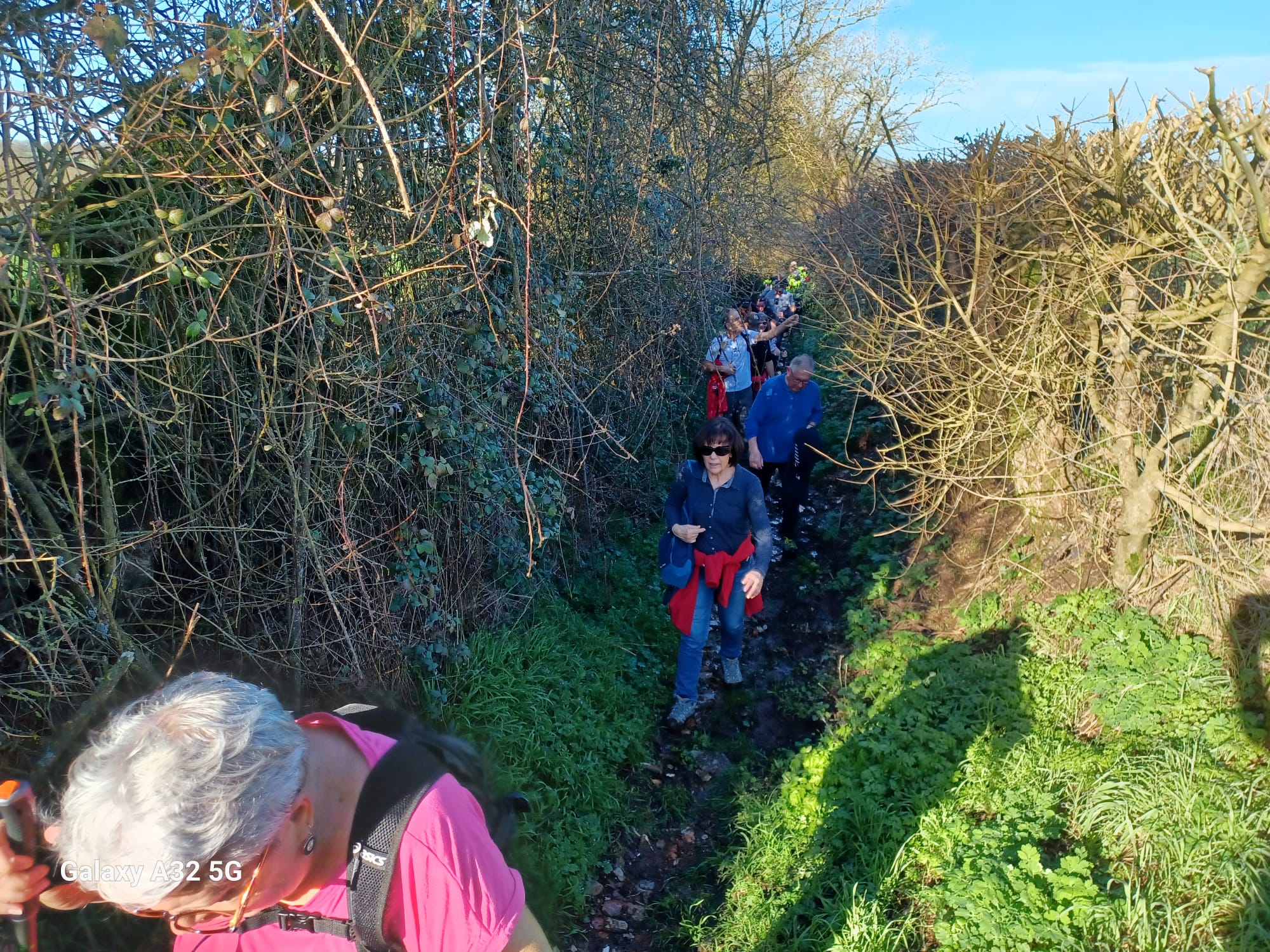 Bca9bf56 567e 4177 a881 d9d47a9d6eb6