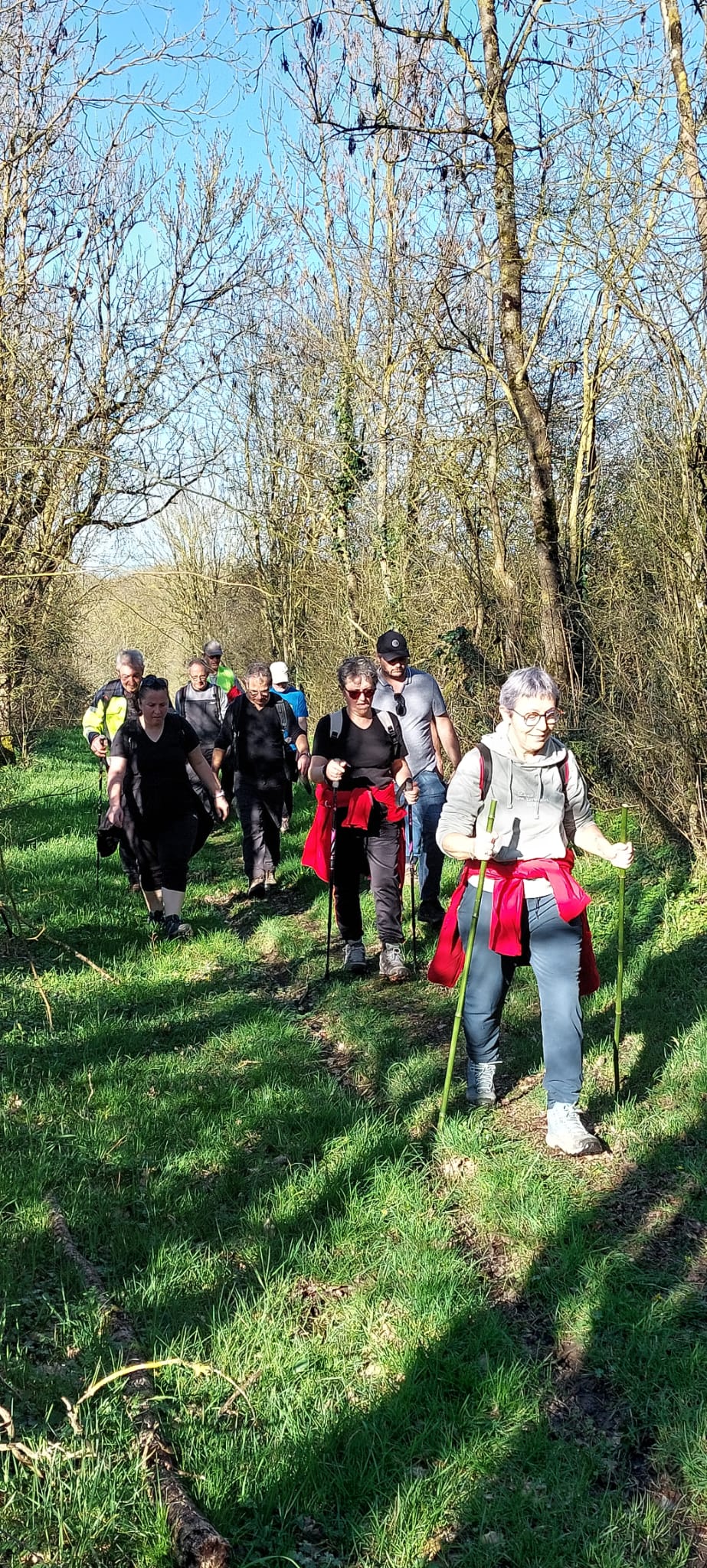 5ff82b2f d630 476f 9f3b d86b310eb912