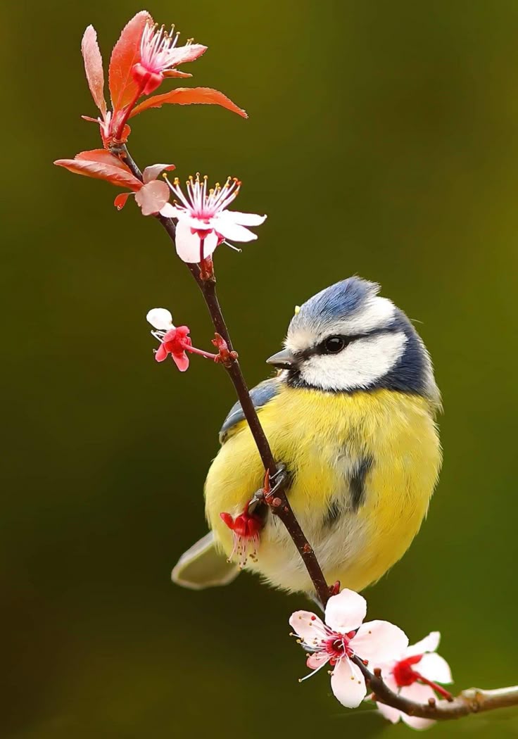 Feb4556d200074764e576545373f3449