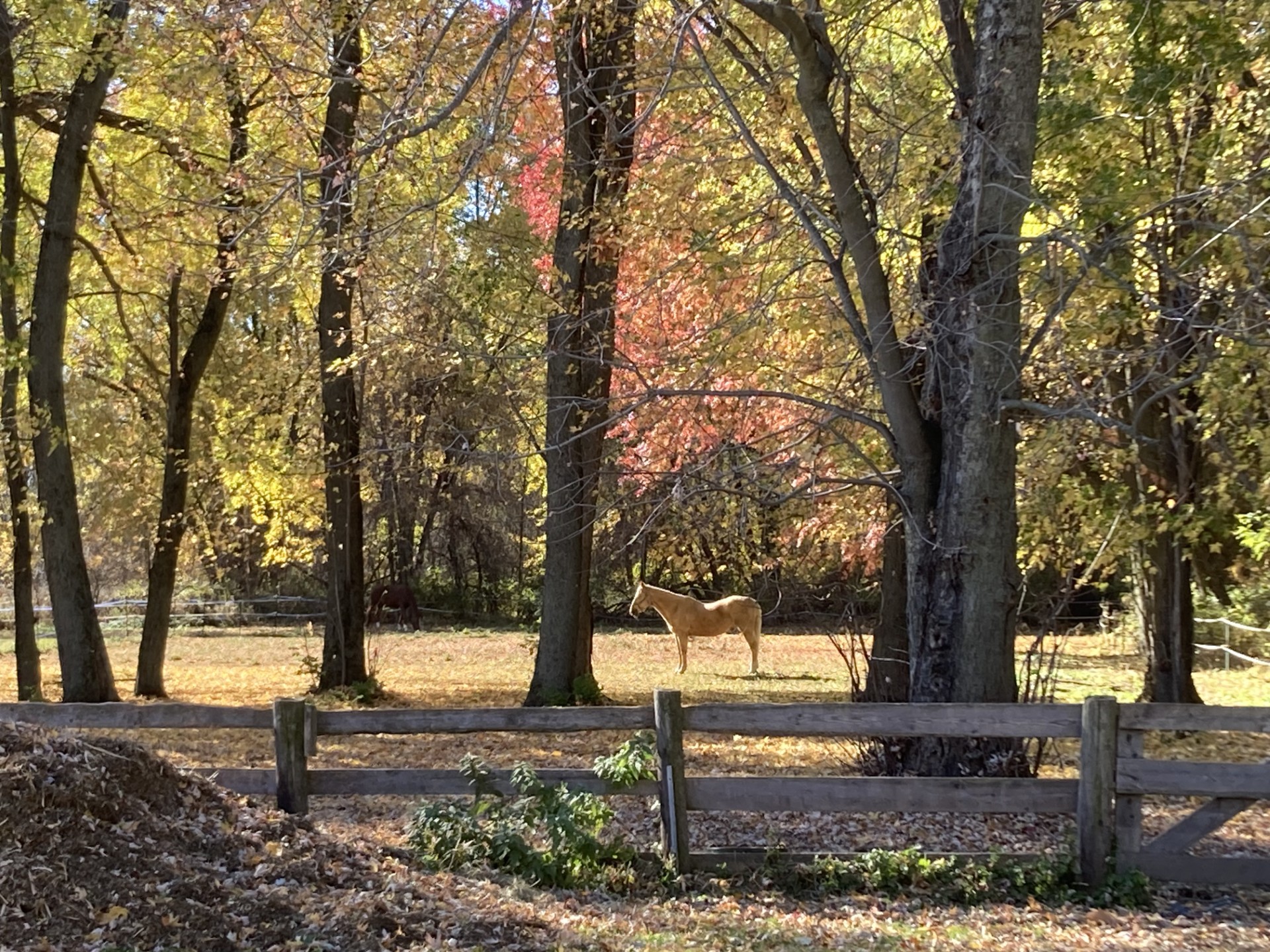 Ecb473a4 bc84 4b46 b3ee f7155a37e760