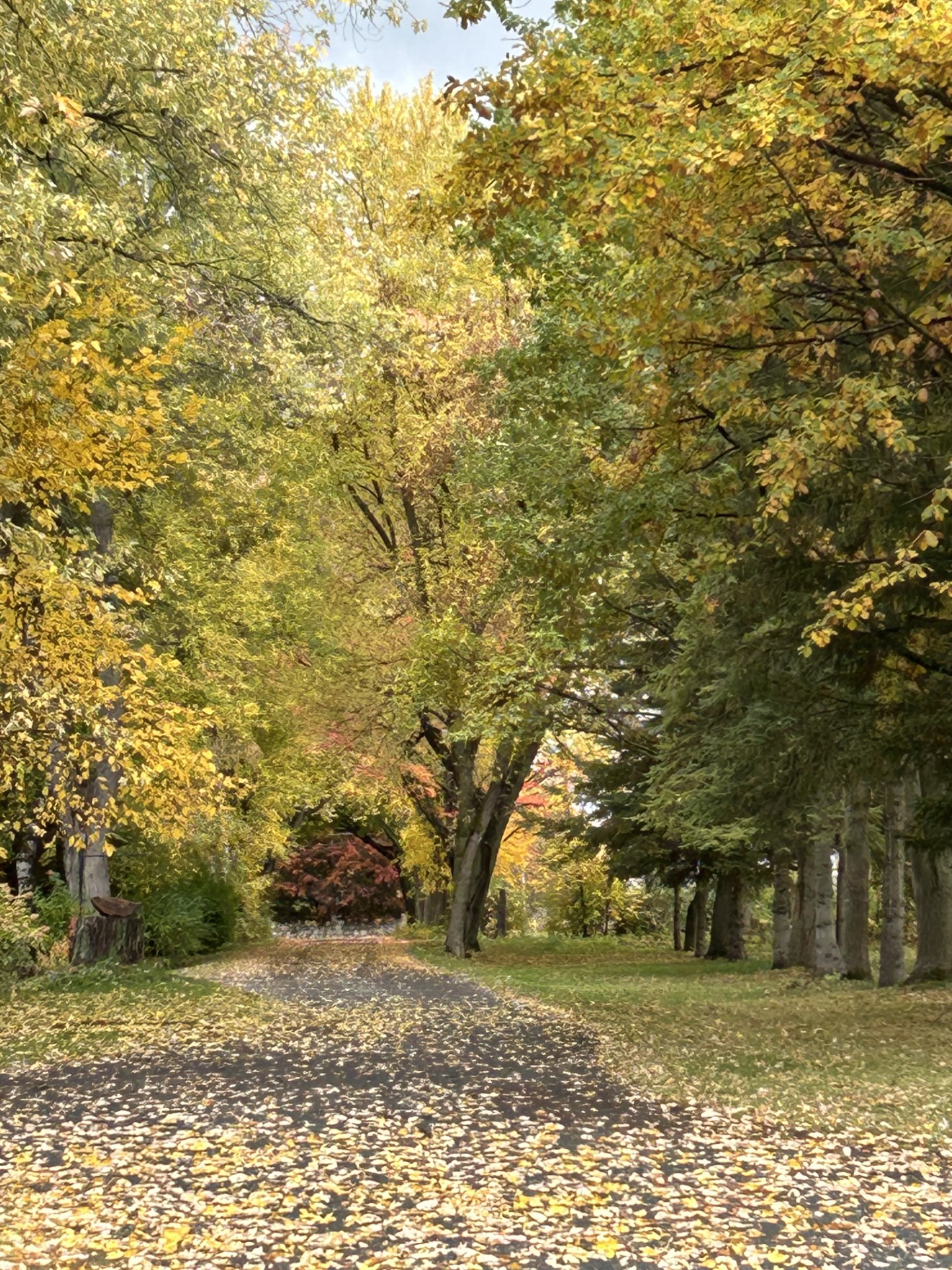 Cea69fa5-80db-4549-a6f9-4ecde2953a82