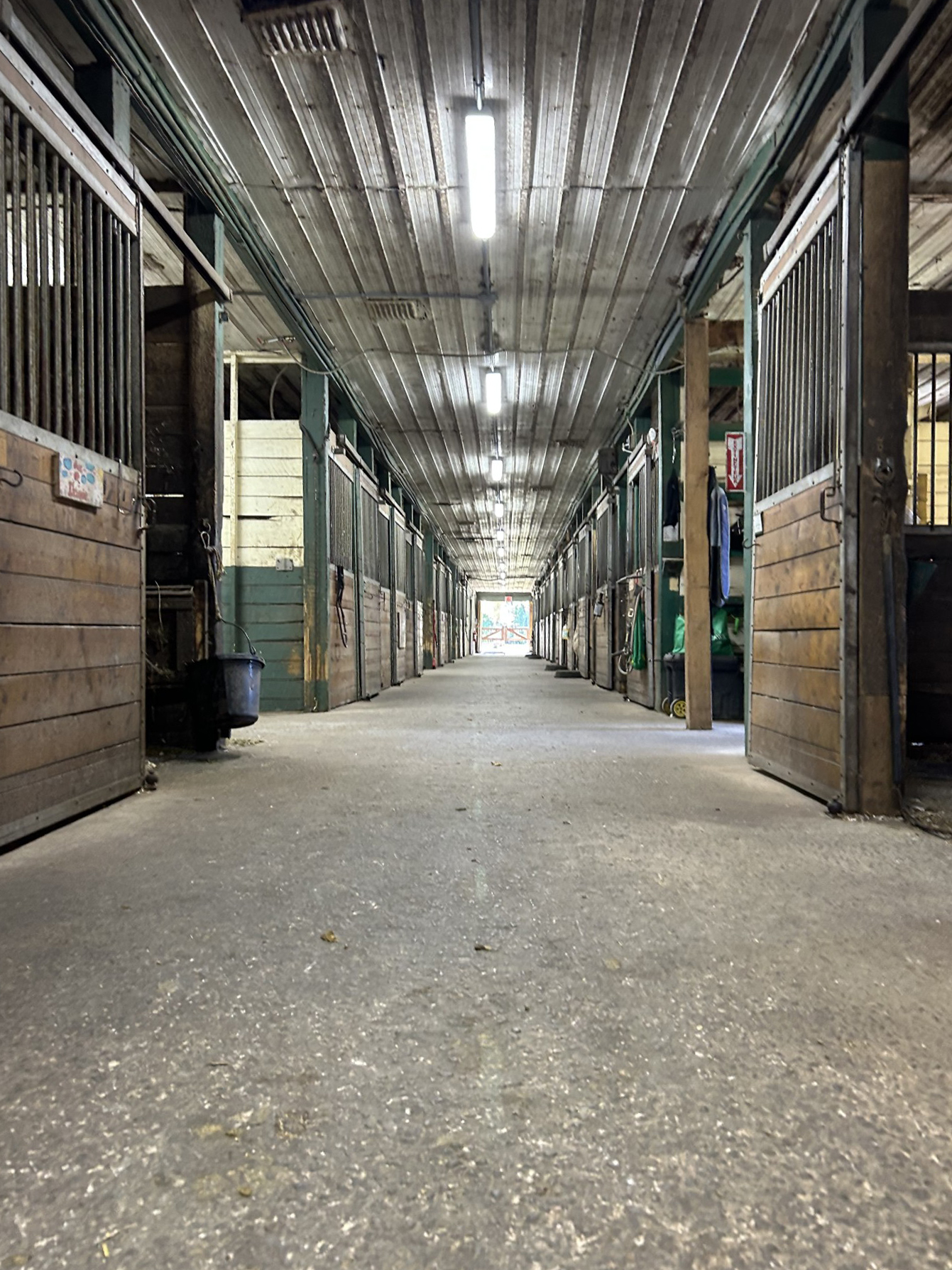 C30f2215-b1fd-4534-9479-eba00e246dd1