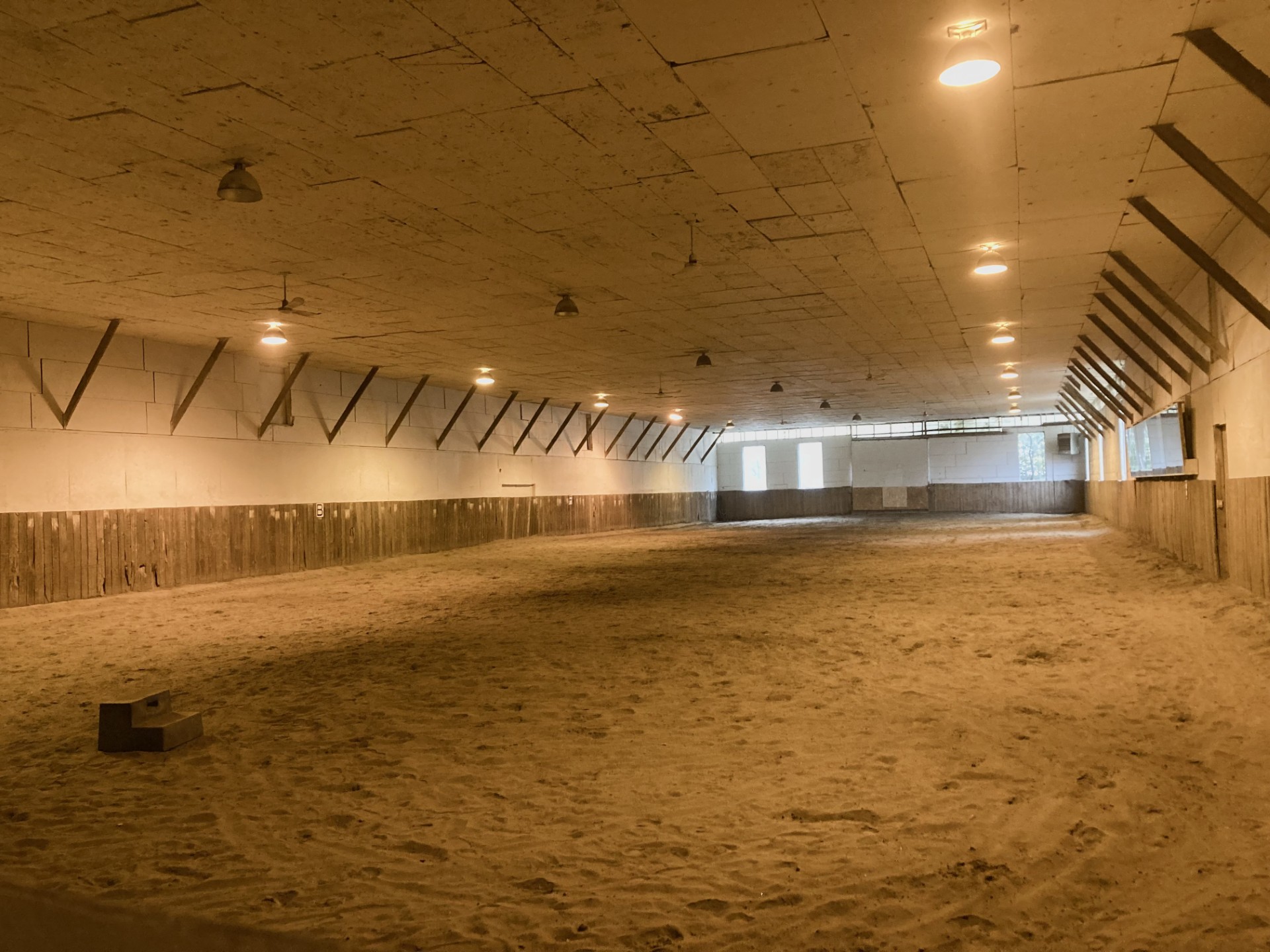 C8e44ab4 9a16 4ea1 919c 29eccac3b3db