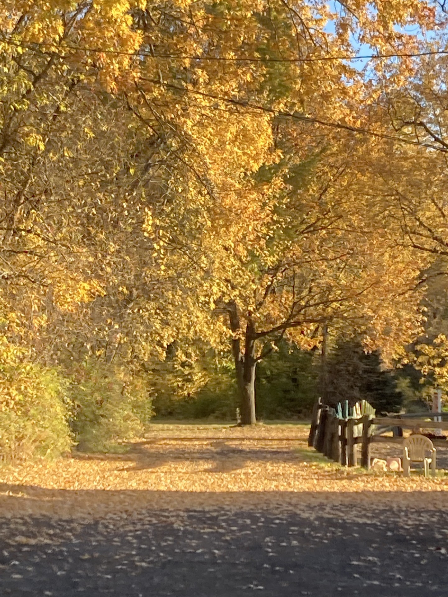 1024652e-dd12-4274-9499-4939a8a0b6e9