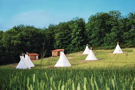 Tipis