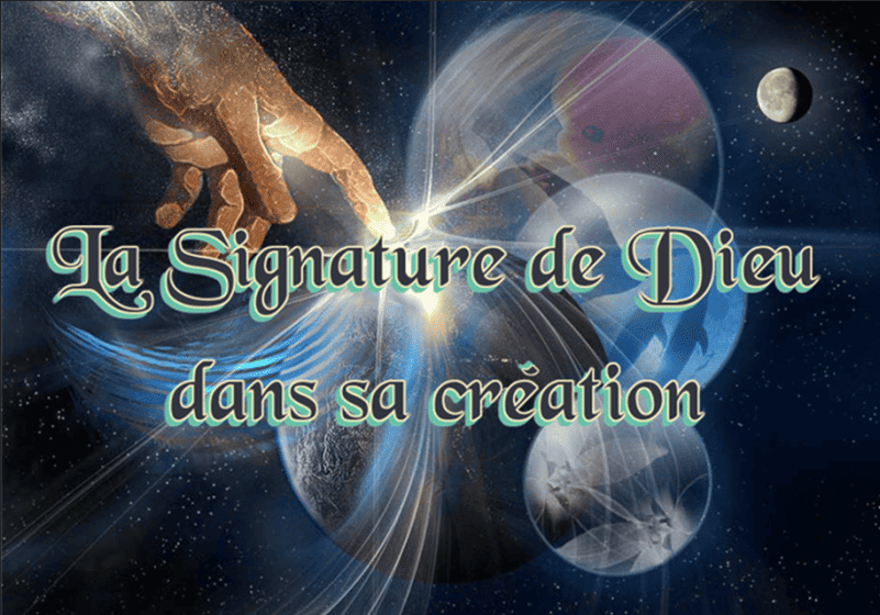 La signature de Dieu dans la création