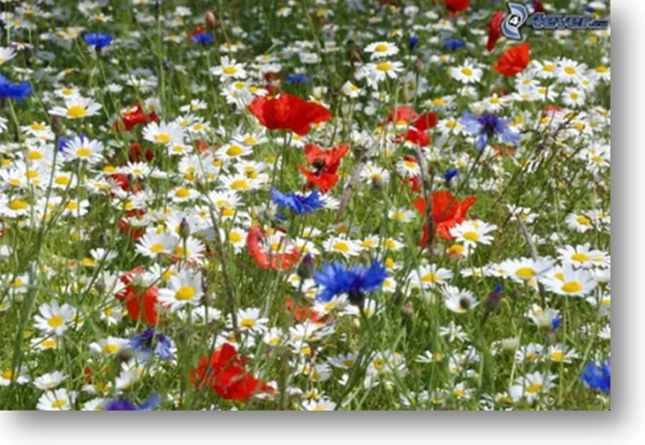 Capture-d-ecran-2026-03-01-135003