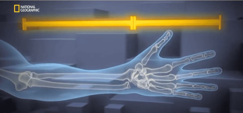 Valeur du nombre d'or