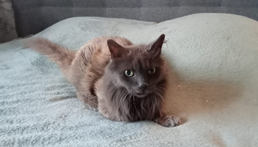 Au revoir Flanelle ! 