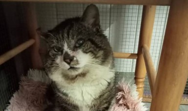 Au revoir Boubouille ! 