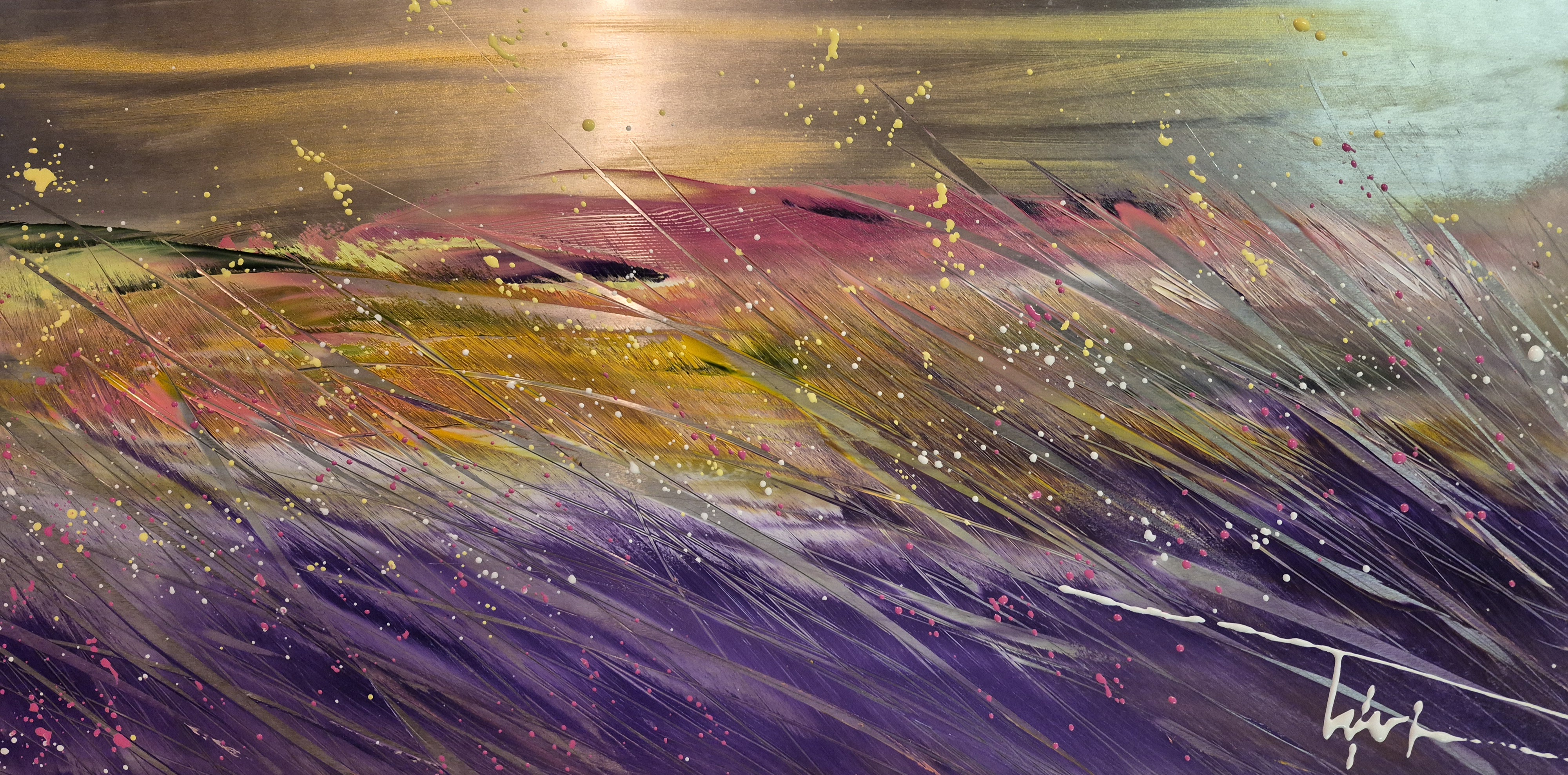 Chaleur du sud 2026 metal 25x50