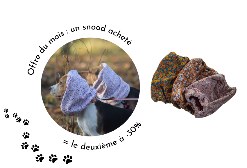 Cream-and-Brown-Photographic-Beauty-Site-Launch-Website-850-x-580-px-5-