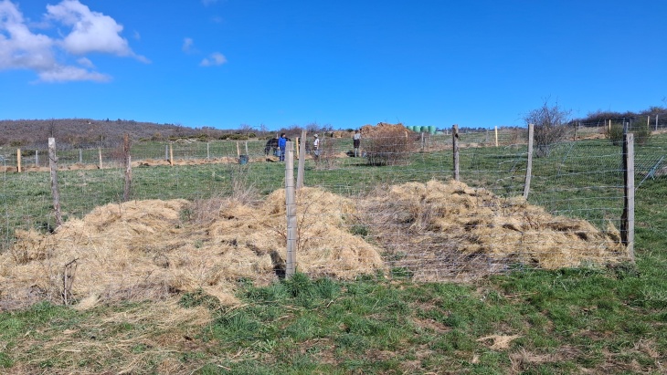 20260301 121458-small